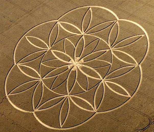 Crop circle which appeared in Tegdown Hill, 22nd July 2003 and representing the most fundamental figure in sacred geometry, 'The Flower of Life'